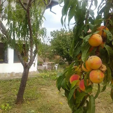 Pensionat Fenix 3*